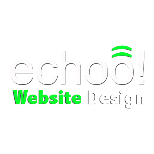 Dallas Harlingen Brownsville Texas Echoo Website Design logo