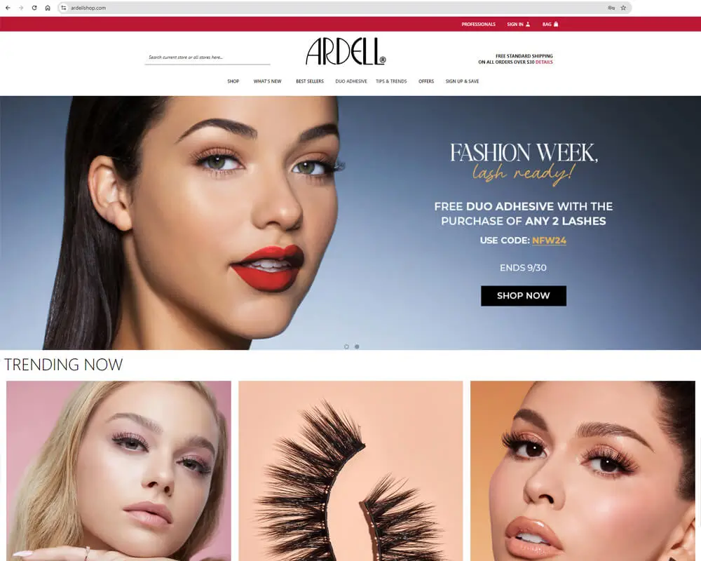 Echoo Website Design project 204