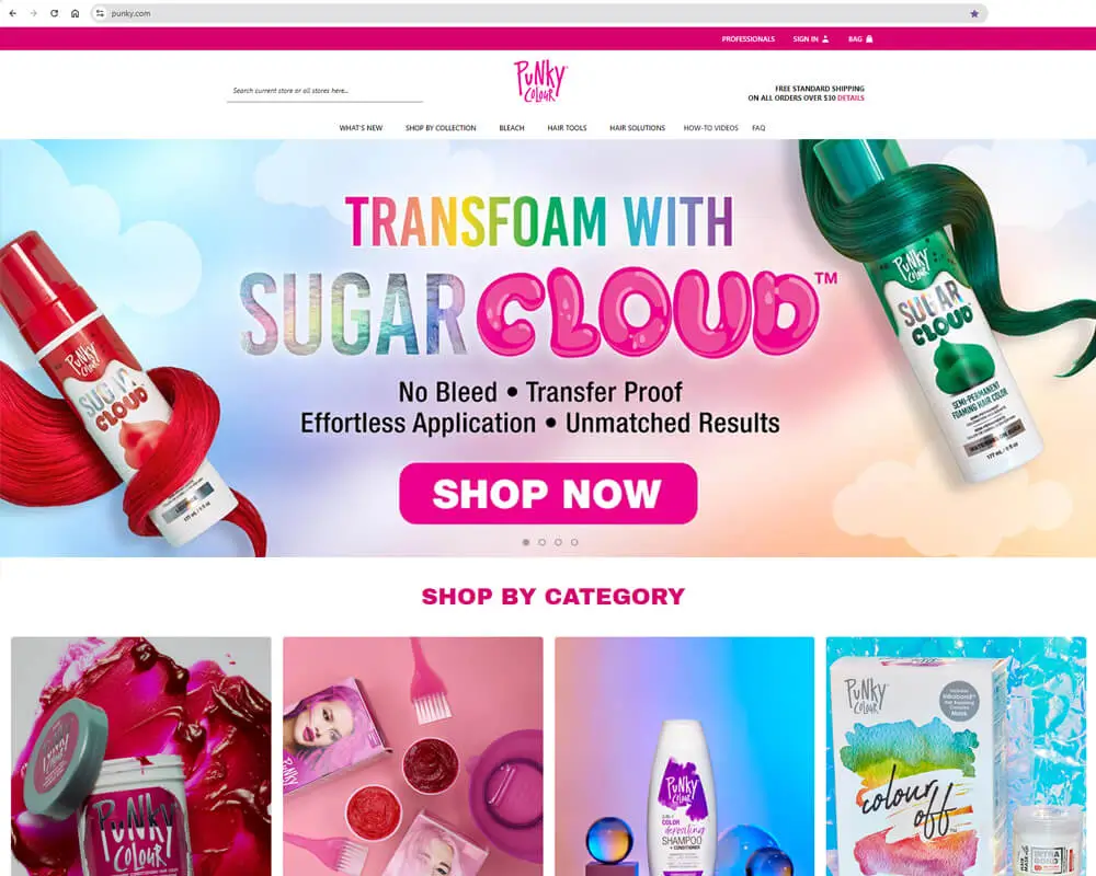 Echoo Website Design project 205
