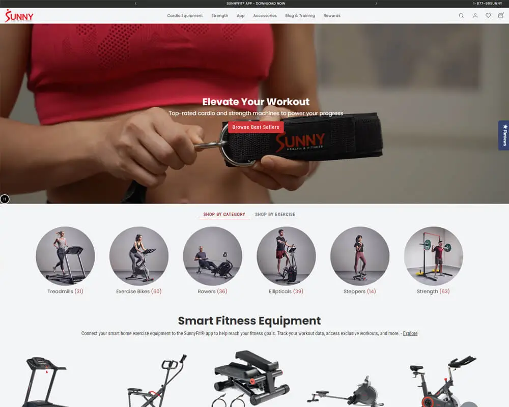 Echoo Website Design project 206