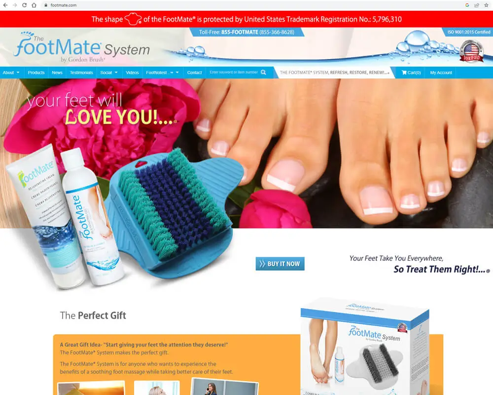 Echoo Website Design project 208